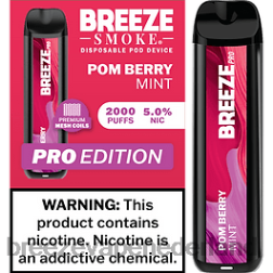 pom bessen munt 0N2T17 - Breeze vape Nederland Breeze Pro 2000 trekjes