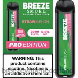 stro meloen 0N2T14 - Breeze vape amazon Breeze Pro 2000 trekjes