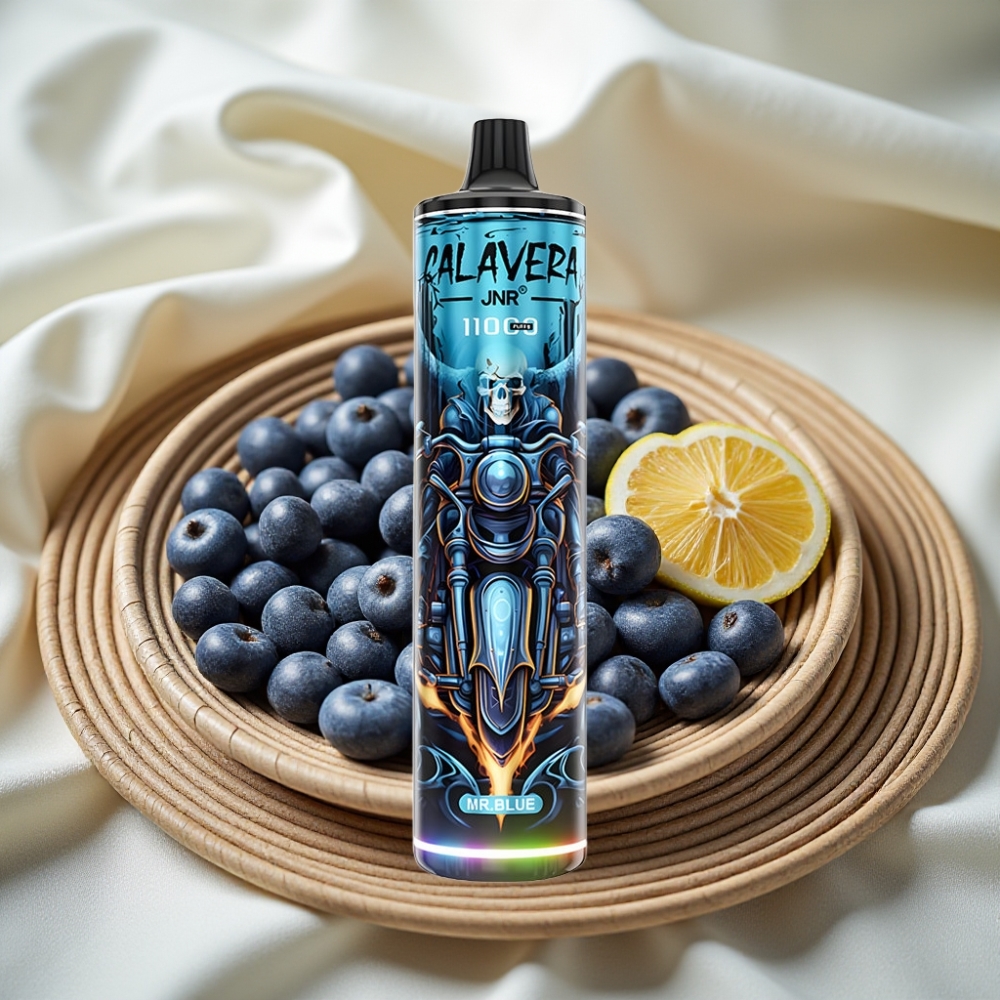 JNR Calavera 11000 Puffs Meneer Blauw Type-C 850mAh 21ml 1.0ohm Mesh