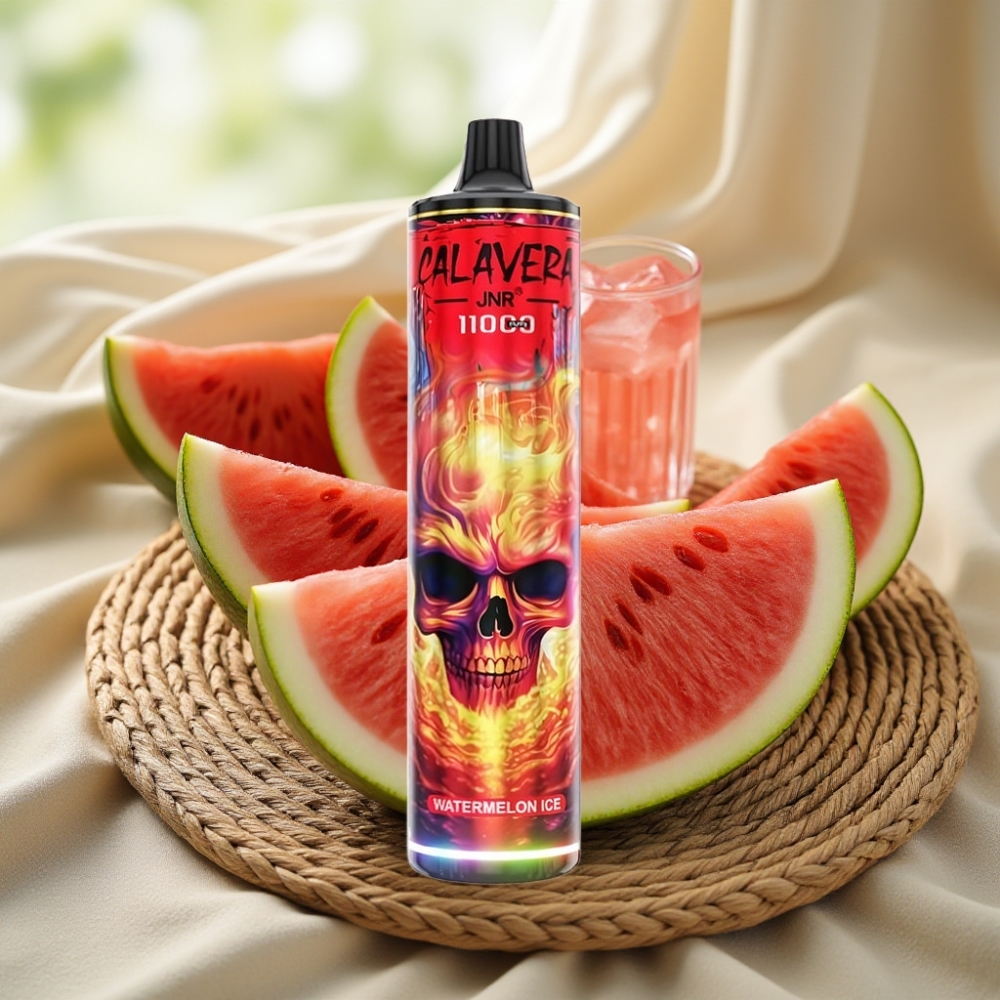 JNR Calavera 11000 Puffs Watermeloen IJs Disposable Vape met Type-C en 850 mAh