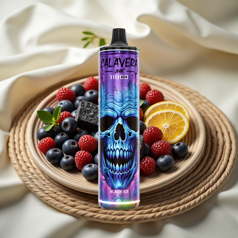 JNR Calavera 11000 Puffs Zwart Ijs Type-C 850mAh 21ml 1.0ohm Mesh