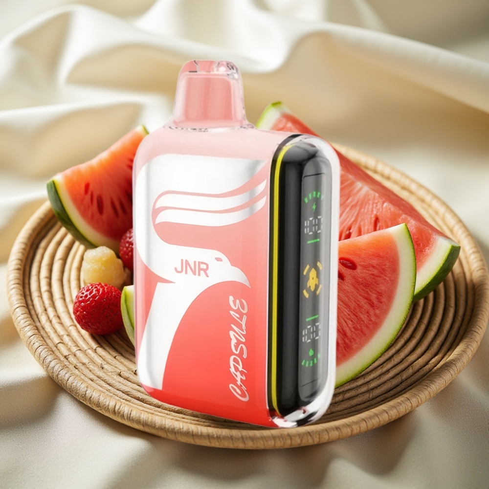 JNR Capsule 15000 Puffs Watermeloen Brazz IJs Dual Mesh Coil 20ml