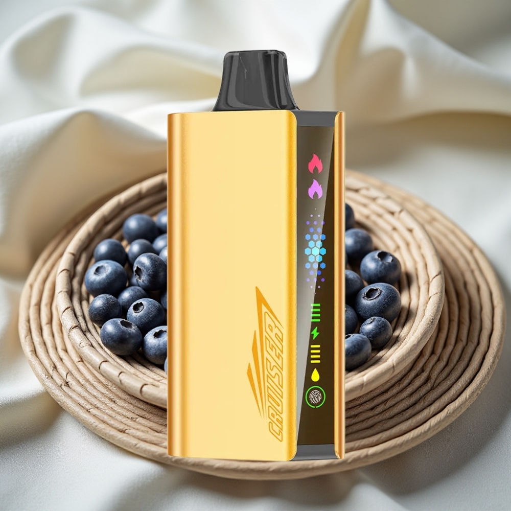 JNR Cruiser 12000 Puffs Blauwe Bes Kracht Geen Opladen 3500 mAh Dual Mesh