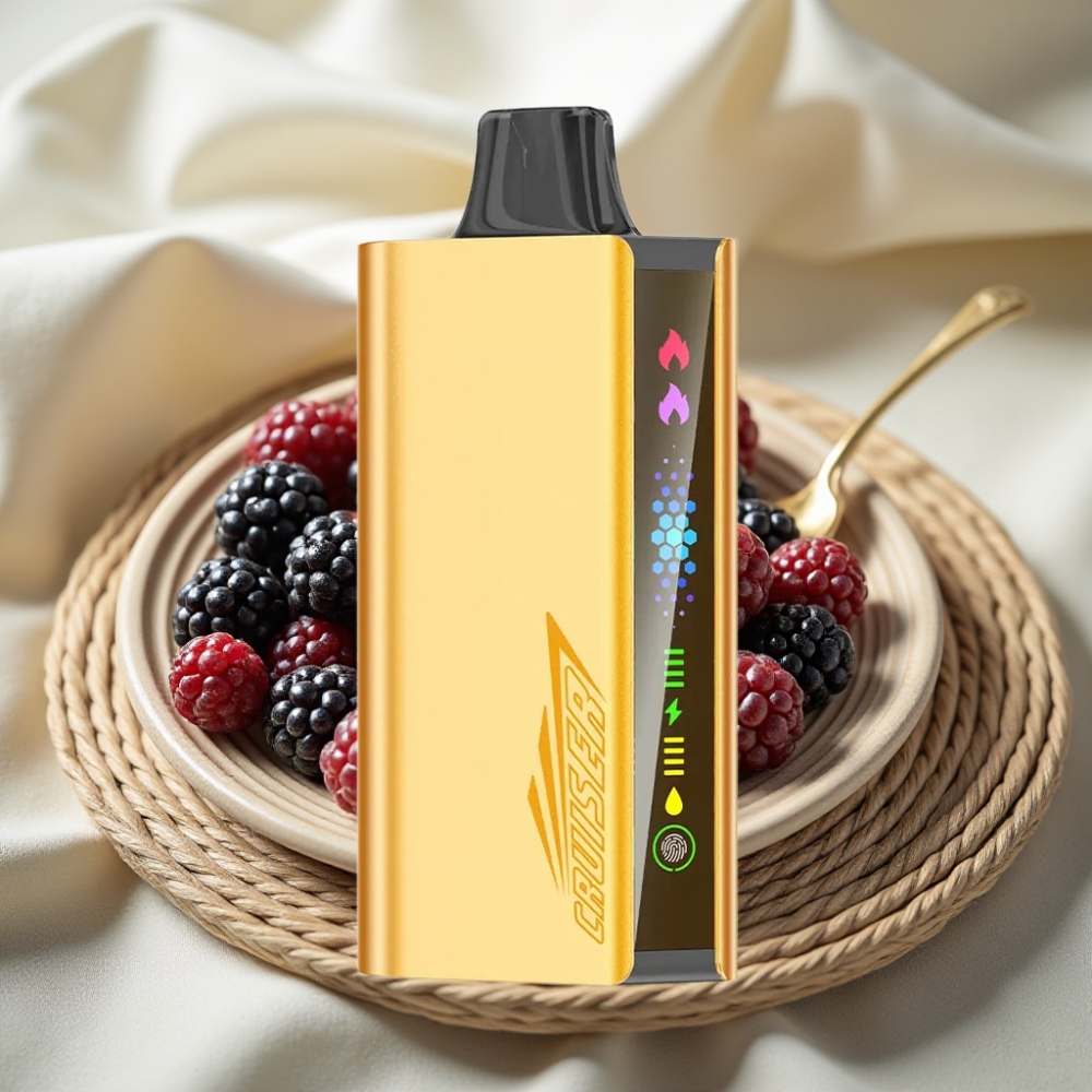 JNR Cruiser 12000 Puffs Braambes IJs Geen-Opladen Disposable Vape met Dual Mesh Coil & Animation Scherm