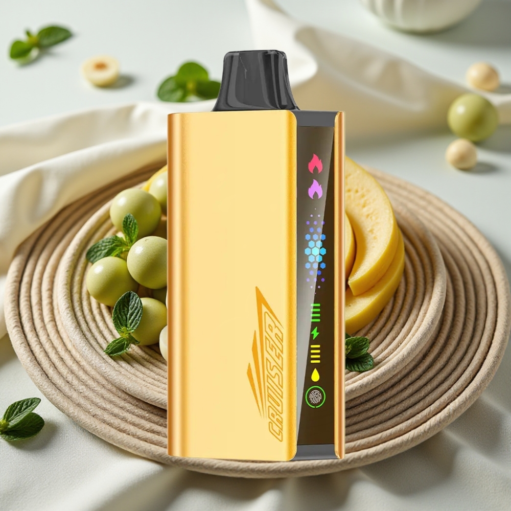JNR Cruiser 12000 Puffs Koel Munt No-Charge Disposable Vape met 3500 mAh Accu en Animation Scherm