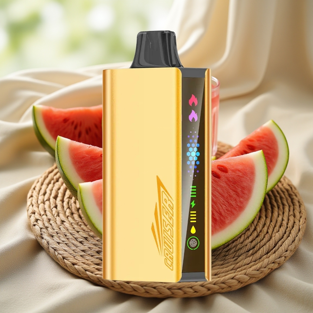 JNR Cruiser 12000 Puffs Watermeloen IJs No-Charge Disposable Vape met Dual Mesh Coil en Animation Scherm