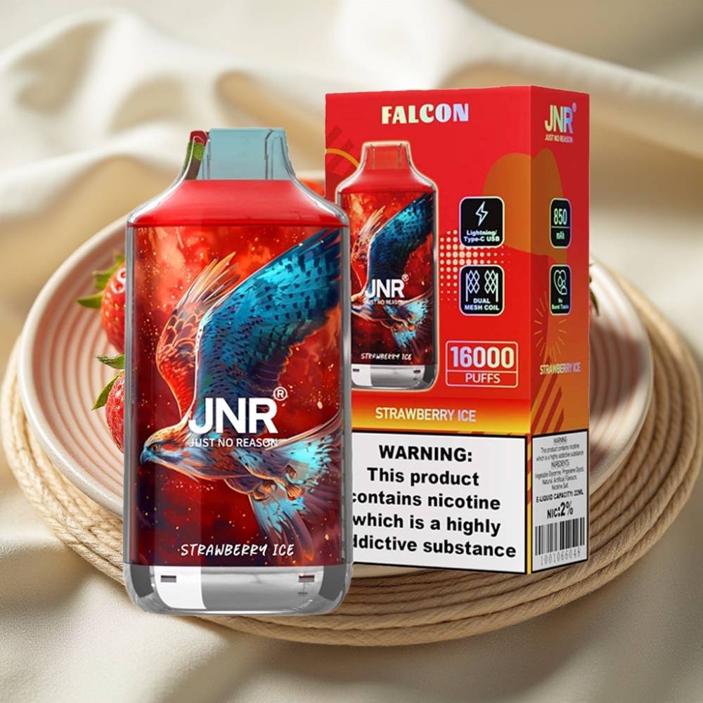 JNR Falcon 16000 Puffs Aardbei IJs Dual Mesh Coil Type C LED Display