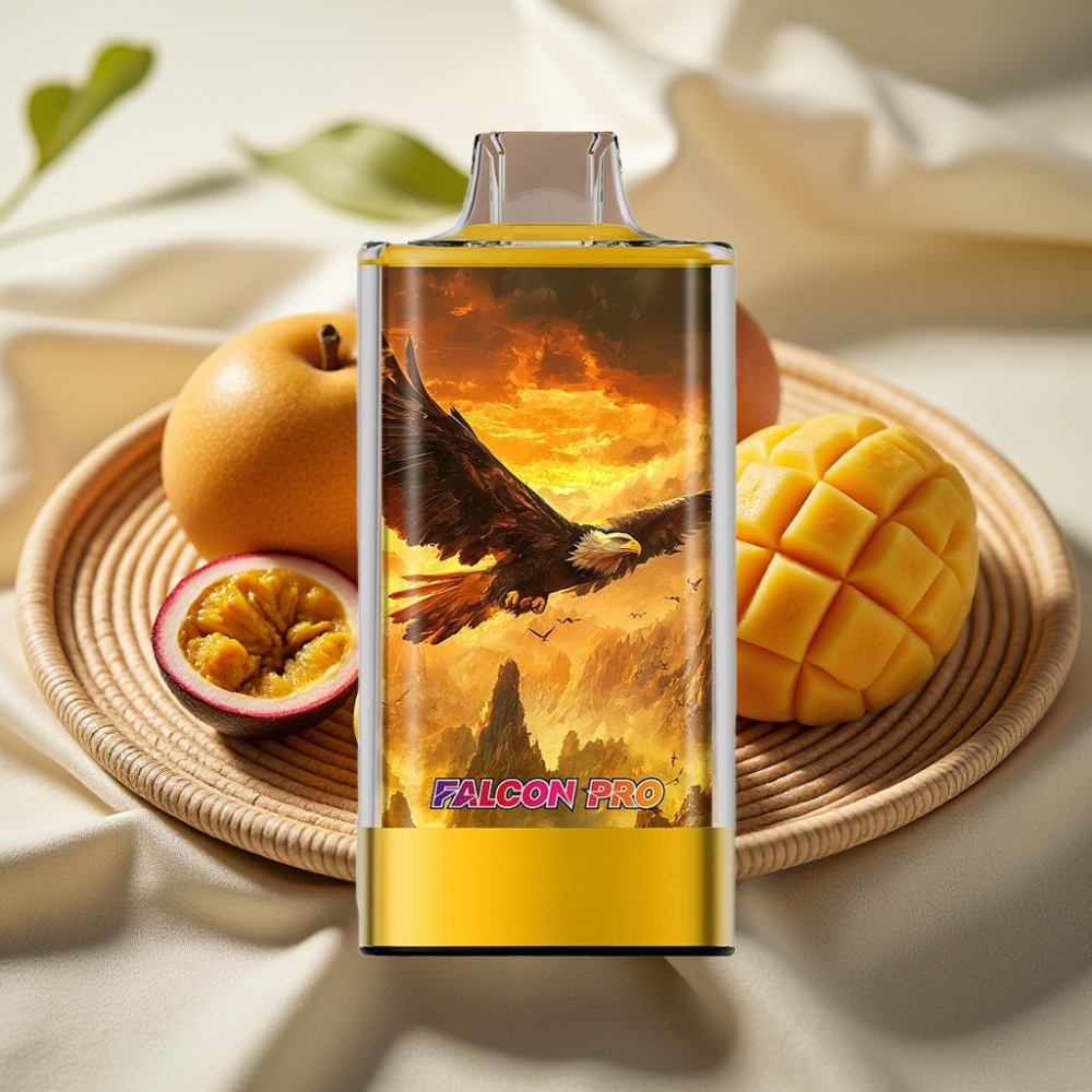 JNR Falcon Pro 28000 30ml Mango Passievrucht Dual Mesh USB-C