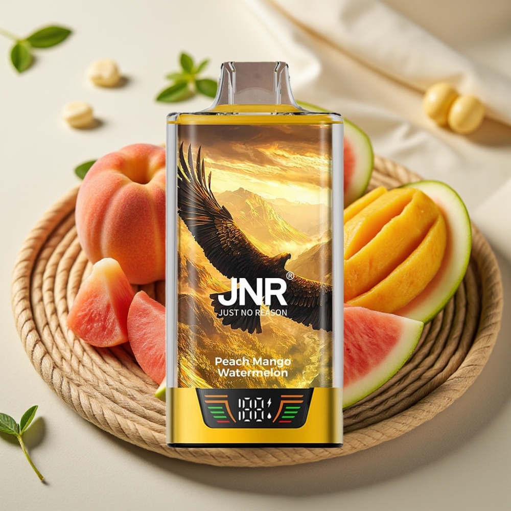 JNR Falcon Pro 28000 Disposable Vape Perzik Mango Watermelon 30ml 950mAh Dual Mesh
