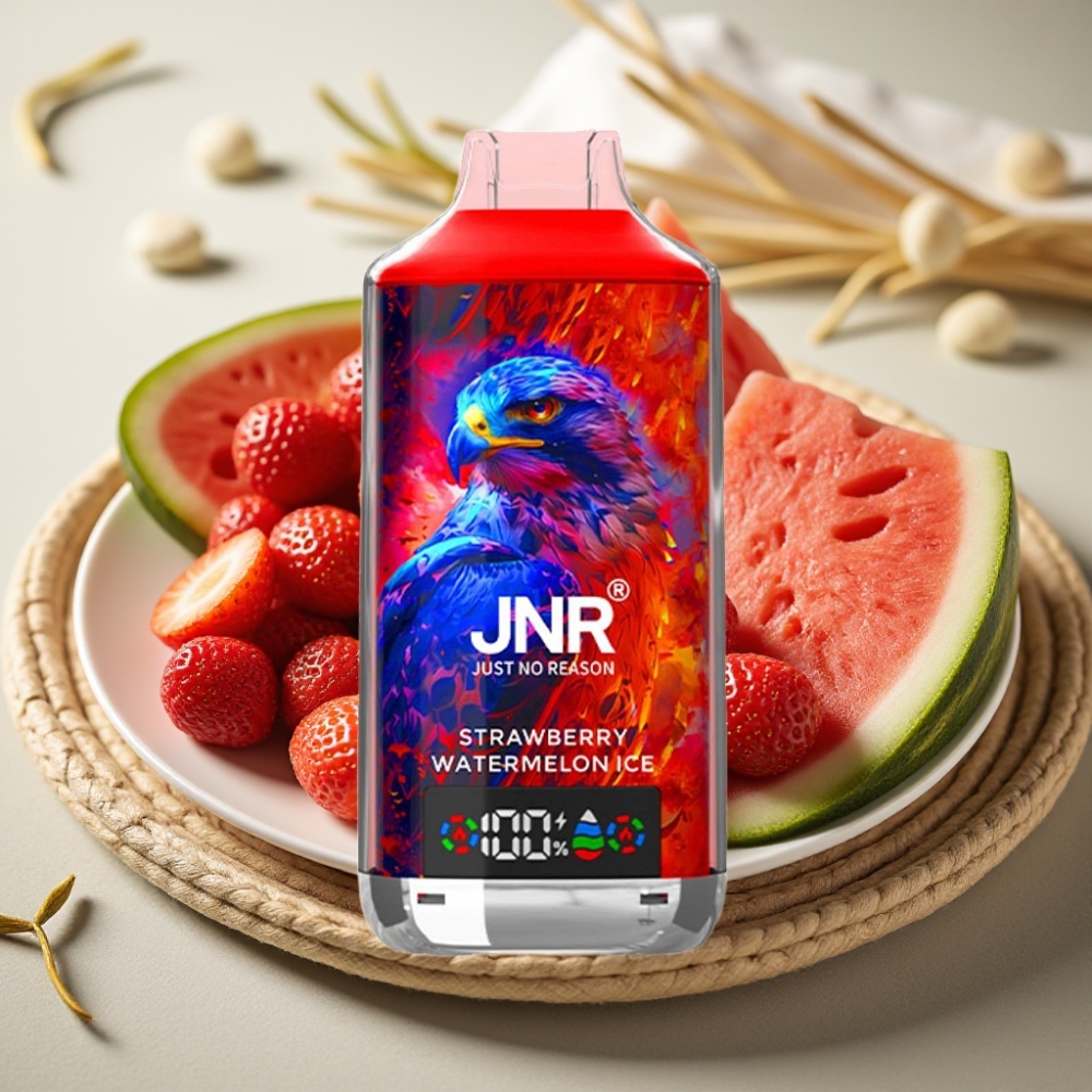 JNR Falcon X 18000 Puffs Aardbei Watermelon IJs Dual Mesh Coil Type-C