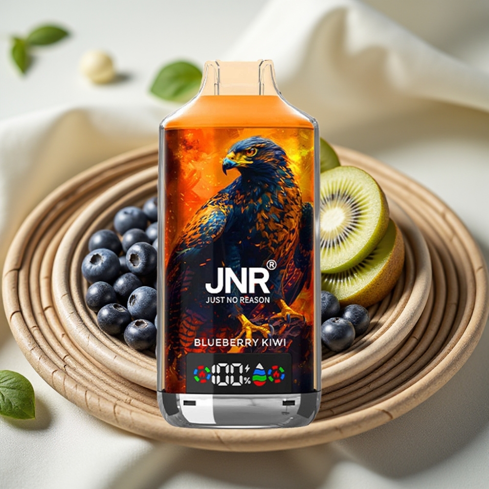 JNR Falcon X 18000 Puffs Blauwe Bes Kiwi Dual Mesh Coil Type-C