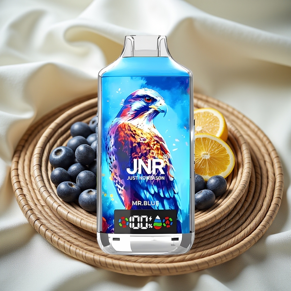 JNR Falcon X 18000 Puffs Mr. Blauw Dual Mesh Coil Type-C