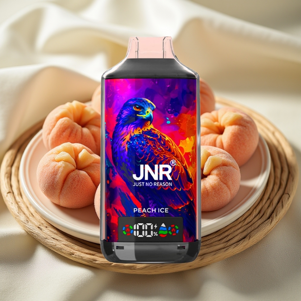 JNR Falcon X 18000 Puffs Perzik IJs Dual Mesh Coil 24ml 750mAh