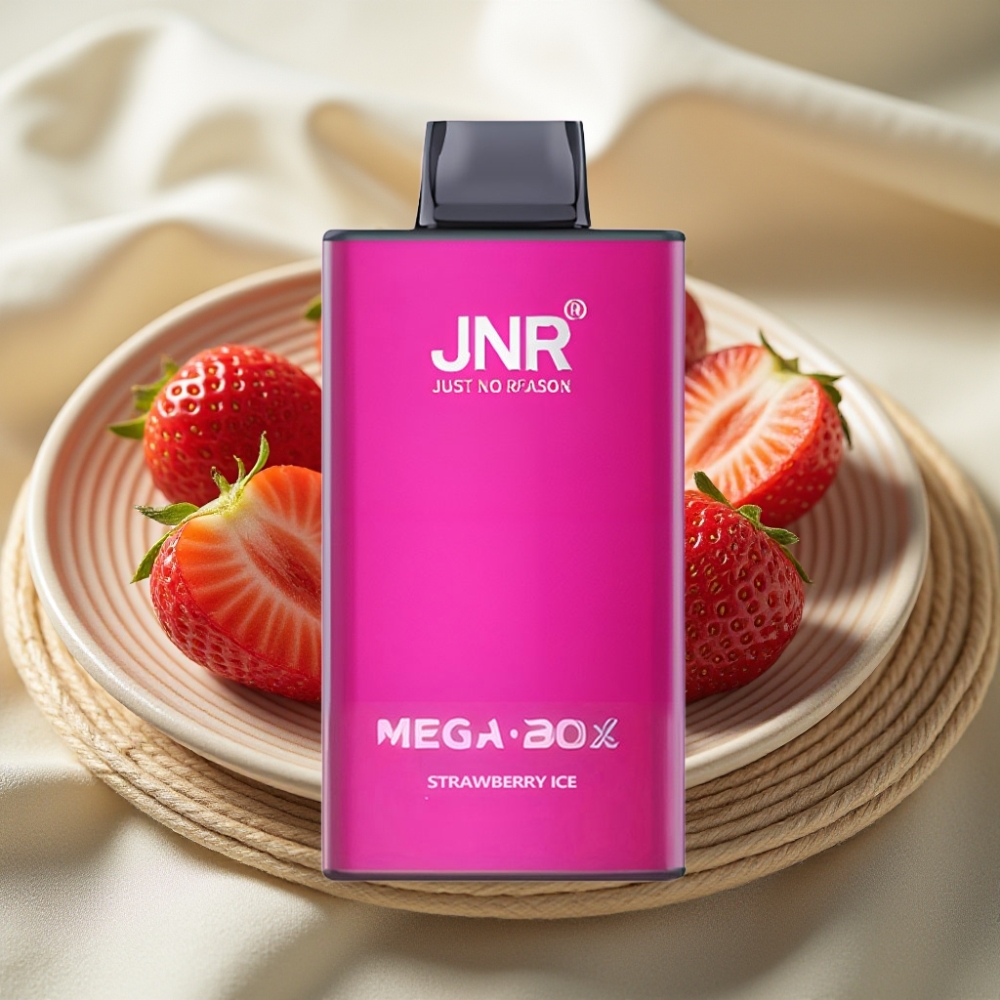 JNR Mega Box 25000 Puffs Aardbei IJs Disposable Vape met Dual Mesh Coil & Type-C Opladen