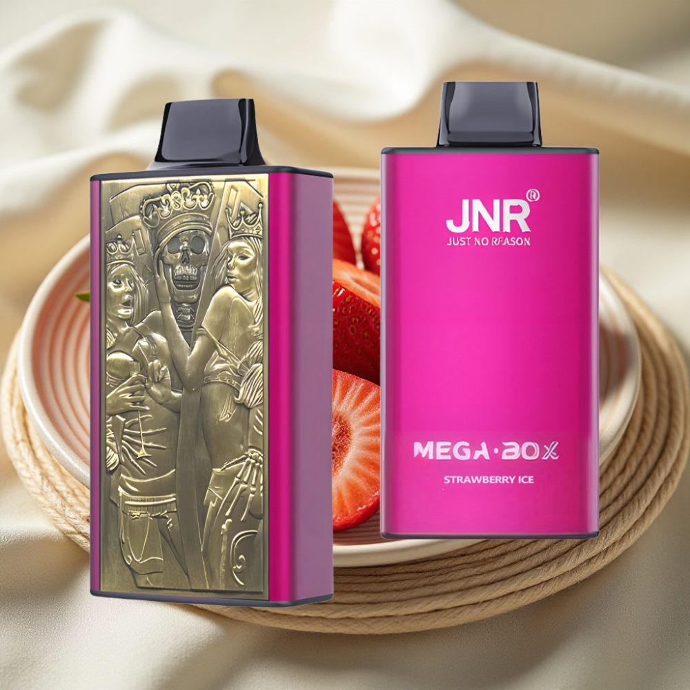 JNR Mega Box 25000 Puffs Aardbei IJs Disposable Vape met Dual Mesh Coil & Type-C Opladen