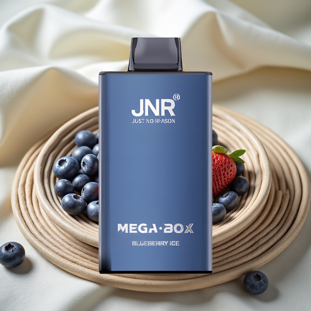 JNR Mega Box 25000 Puffs Blauwe Bes IJs Disposable Vape met Dual Mesh Coil & Type-C Opladen