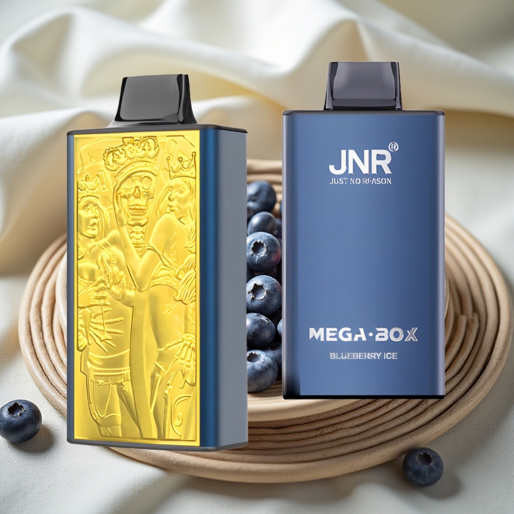 JNR Mega Box 25000 Puffs Blauwe Bes IJs Disposable Vape met Dual Mesh Coil & Type-C Opladen