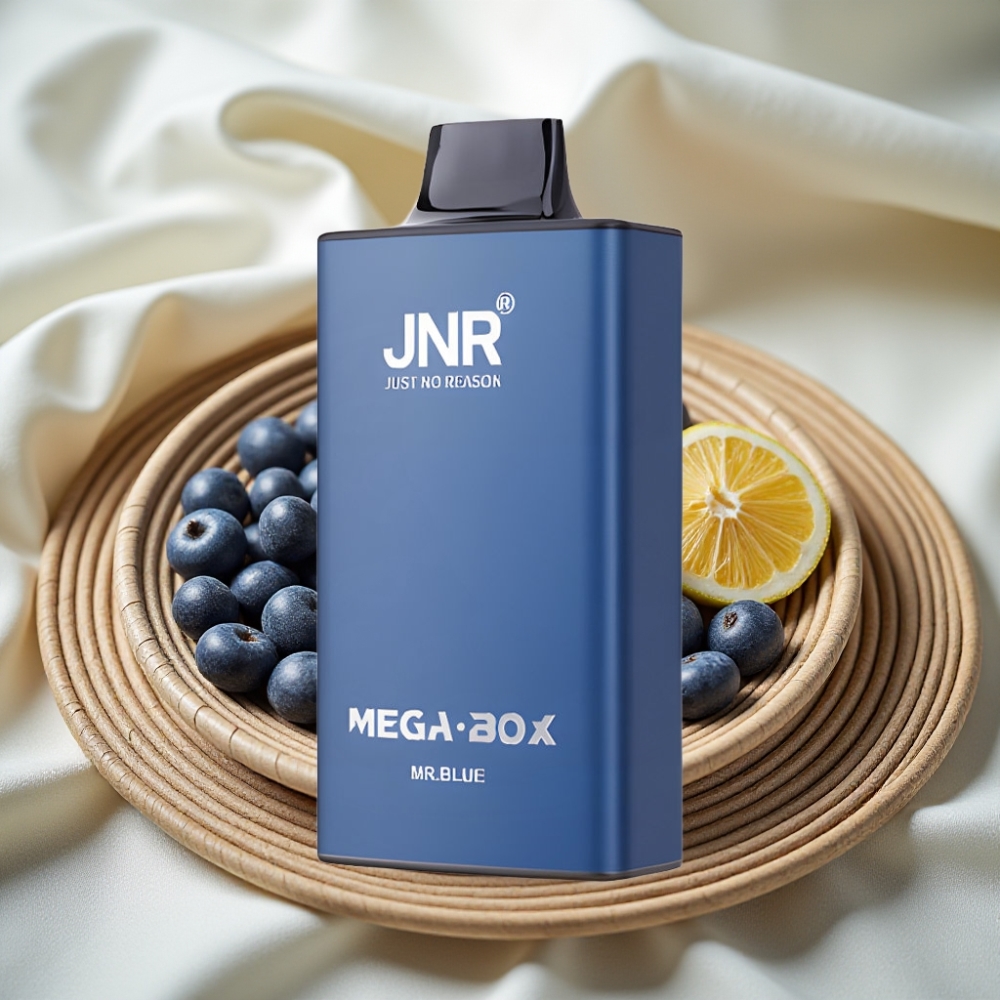JNR Mega Box 25000 Puffs Disposable Vape Meneer Blauw Dual Mesh Coil Type-C