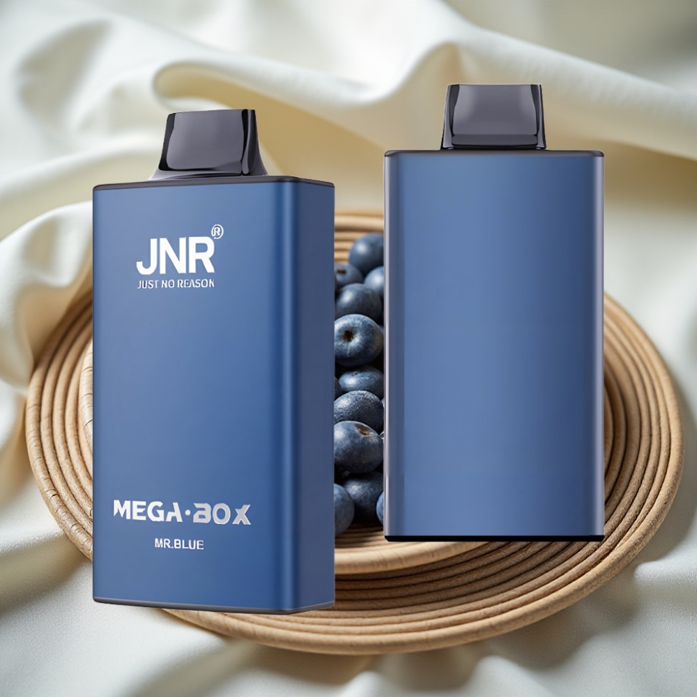 JNR Mega Box 25000 Puffs Disposable Vape Meneer Blauw Dual Mesh Coil Type-C