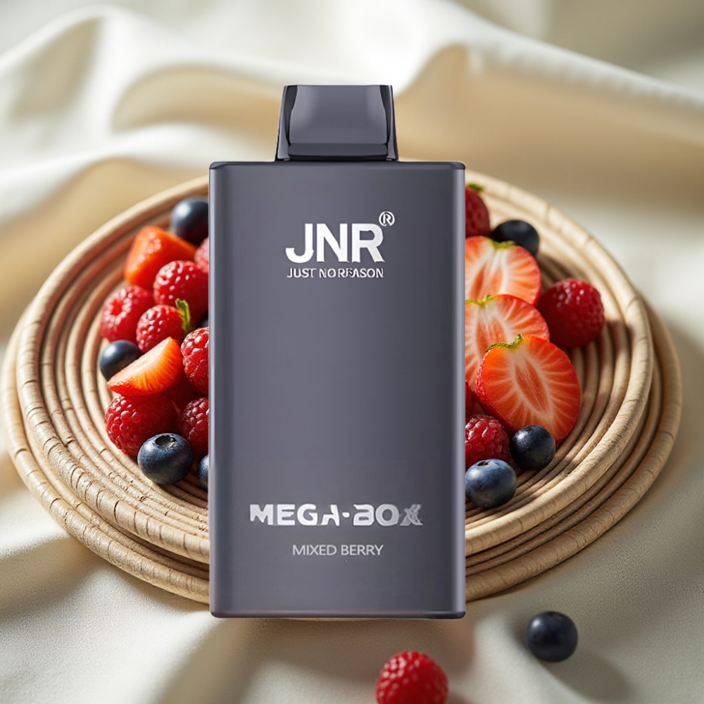 JNR Mega Box 25000 Puffs Gemengde Bes Disposable Vape Dual Mesh Coil Type-C