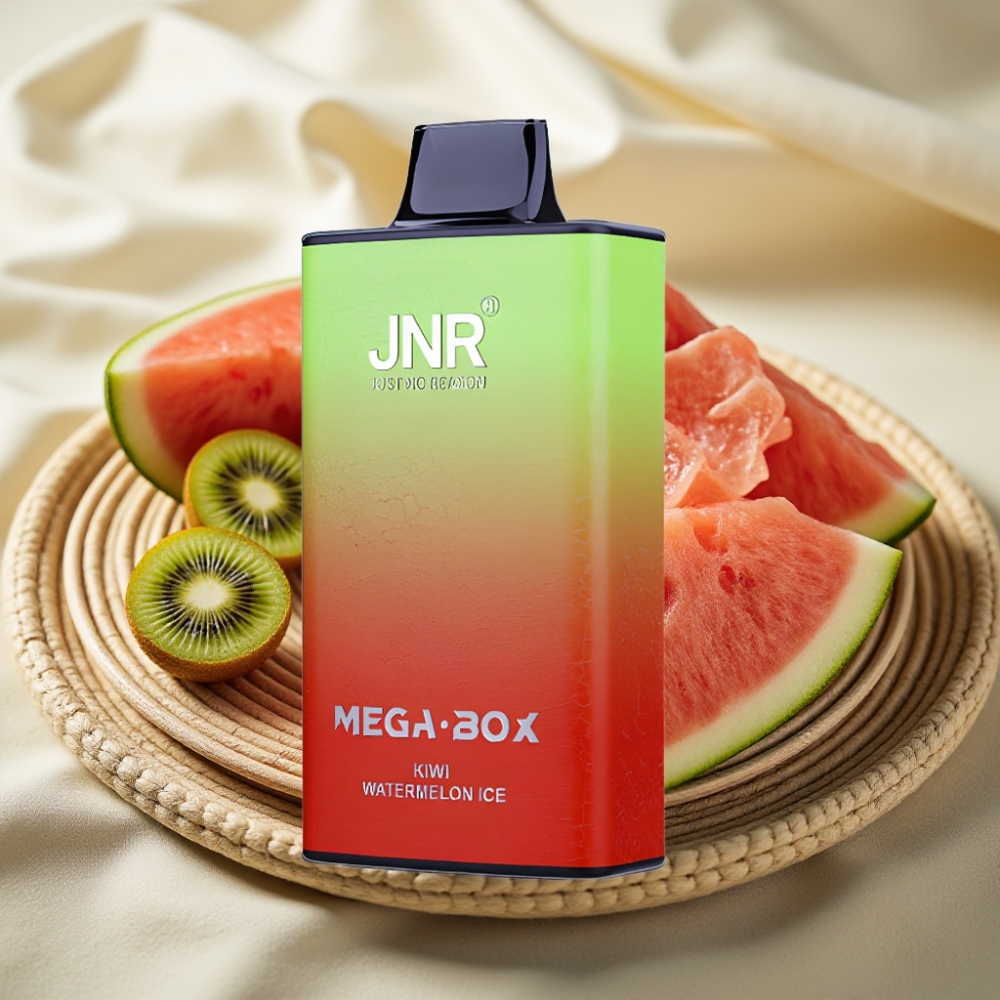 JNR Mega Box 25000 Puffs Kiwi Watermeloen IJs Dual Mesh Coil Type-C