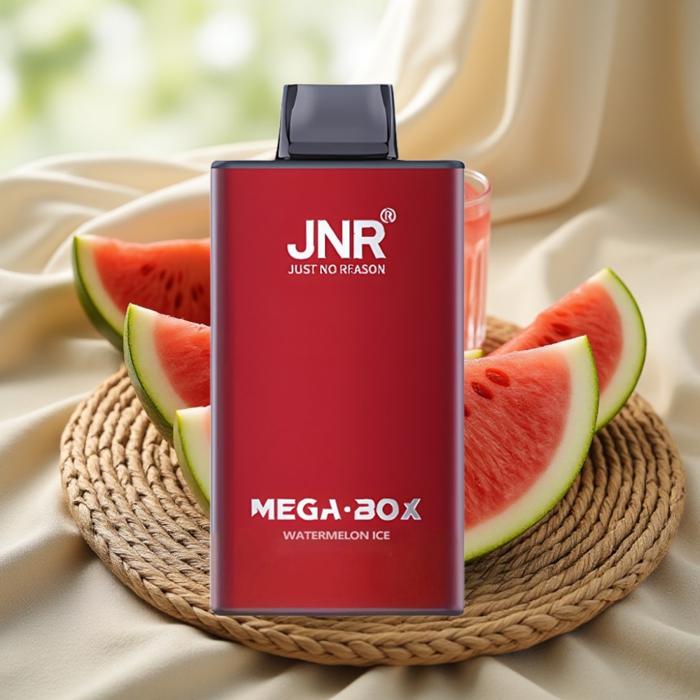 JNR Mega Box 25000 Puffs Watermeloen IJs Disposable Vape met Dual Mesh Coil & Type-C Lading