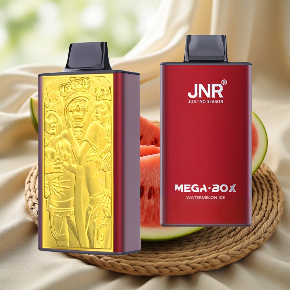 JNR Mega Box 25000 Puffs Watermeloen IJs Disposable Vape met Dual Mesh Coil & Type-C Lading