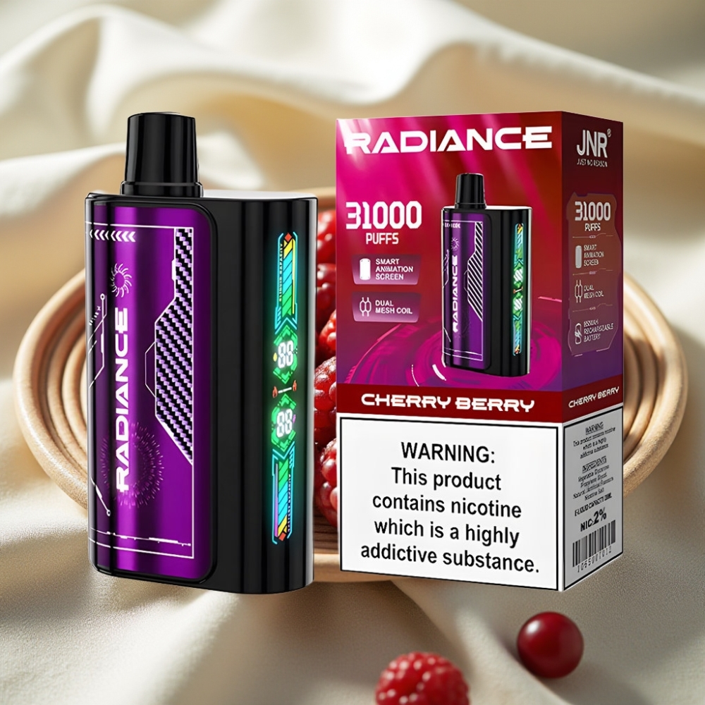 JNR Radiance 31000 Puffs Kers Bes Dual Mesh Oplaadbaar