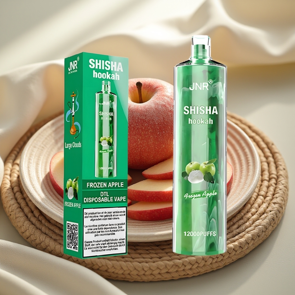 JNR Shisha Hookah 12000 Puffs Bevroren Appel met 24ml & Type-C Opladen