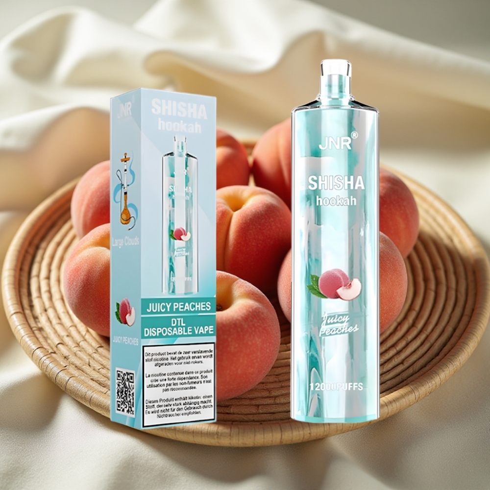 JNR Shisha Hookah 12000 Puffs Sappige Perziken 750mAh Type-C