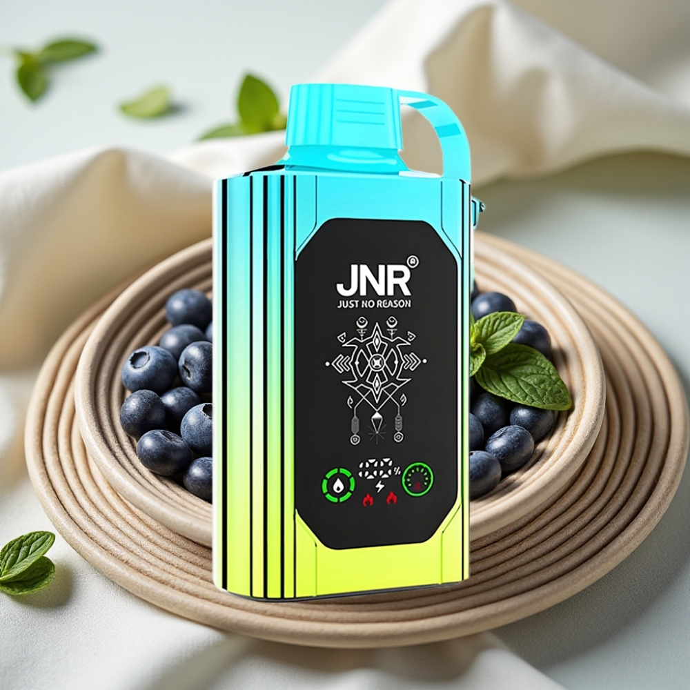 JNR Shisha Hookah Box 20500 Puffs Blauwe Bes Munt HD Display Dual Mesh Coil Type-C